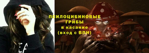 PSILOCYBIN Алзамай
