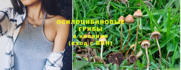 PSILOCYBIN Алзамай