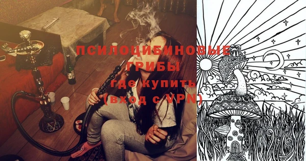 PSILOCYBIN Алзамай