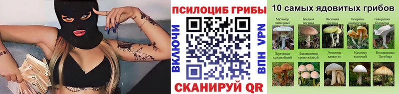 ОМГ ОМГ сайт  Тольятти  Галлюциногенные грибы Magic Shrooms 